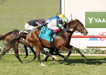 Stay Hot gets up late to win the Cecil B. DeMille Stakes at Del Mar