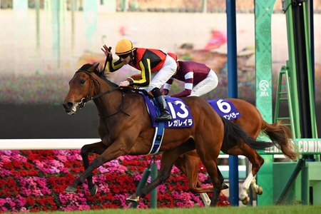 Regaleira wins the 2023 Hopeful Stakes at Nakayama Racecourse