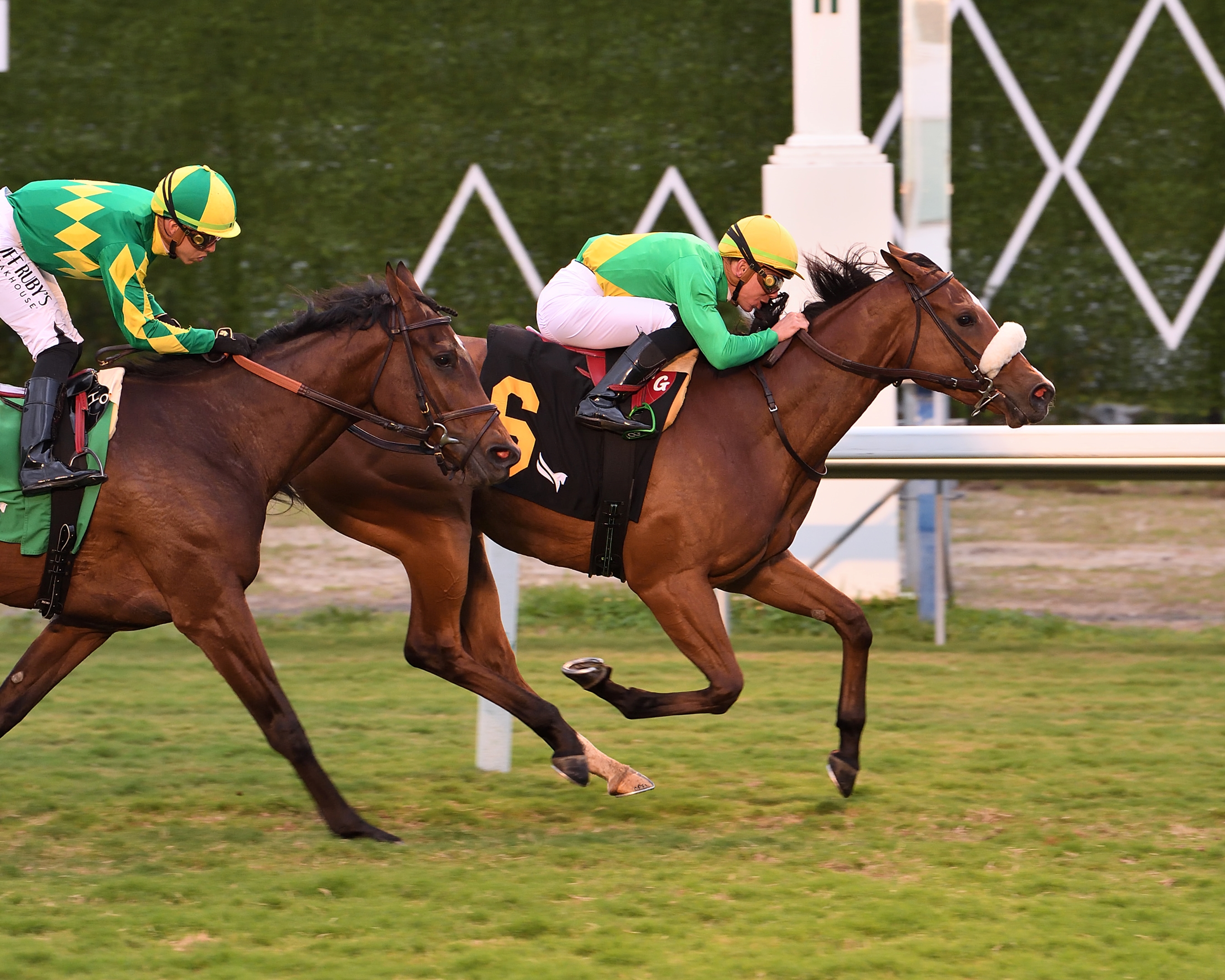 Style Points - Horse Profile - BloodHorse