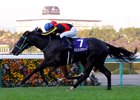 Ascoli Piceno wins the Hanshin Juvenile Fillies on Sunday, December 10, 2023 at Hanshin Racecourse
