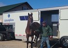 Alpha arrives at Old Friends