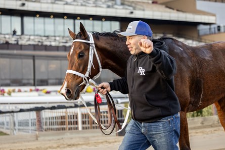 Doc B Racing Dr B - Horse Profile - BloodHorse