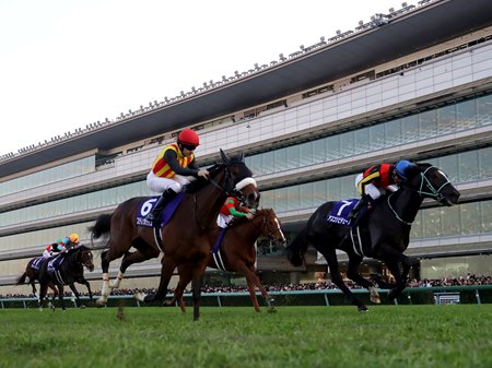 The 2023 Hanshin Juvenile Fillies at Hanshin Racecourse