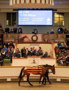 Via Sistina sells for 2.7 million guineas at the 2023 Tattersalls December Mares Sale 