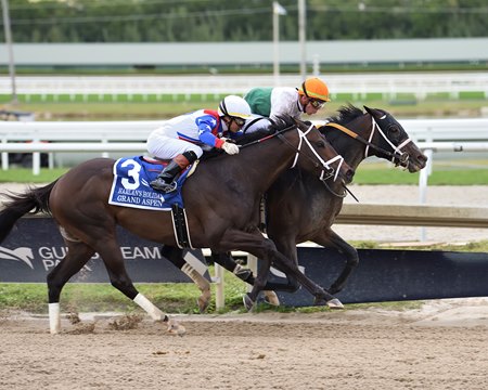 O'Connor edges Grand Aspen in the Harlan's Holiday Stakes at Gulfstream Park