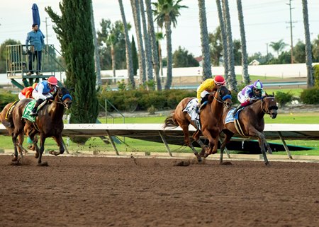 Wynstock and jockey Kyle Frey, outside, take the Los Alamitos Futurity at Los Alamitos Race Course