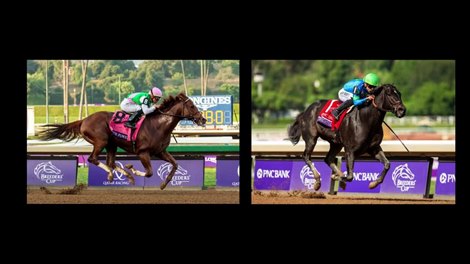 The Final Turn Video: And the Winner Is ... - Video - - BloodHorse
