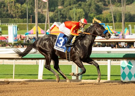Speed Boat Beach wins the 2023 Malibu Stakes at Santa Anita Park