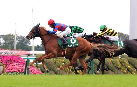Culture Day wins the Fantasy Stakes at Kyoto