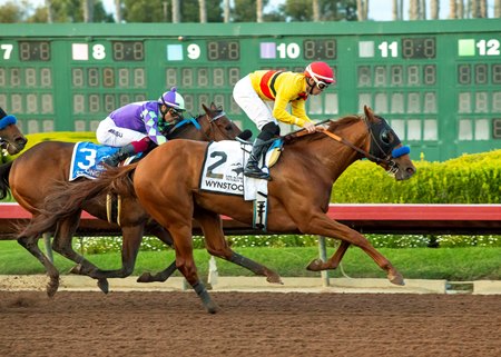 Wynstock wins the Los Alamitos Futurity at Los Alamitos Race Course