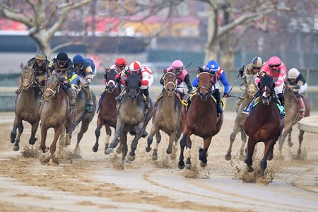 2023 Remsen Stakes at Aqueduct