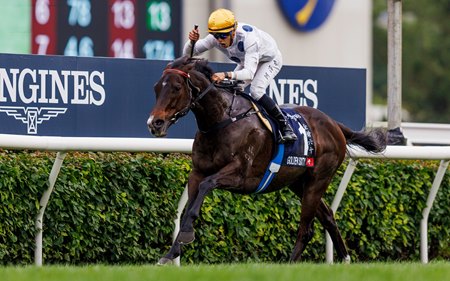 Golden Sixty wins the 2023 Hong Kong Mile at Sha Tin Racecourse
