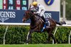Vincent Ho celebrates aboard Golden Sixty as he wins the Longines Hong Kong Mile on December 10, at Sha Tin Racecourse in Hong Kong, China. Photo By: Alex Evers/HKJC