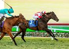 Klaravich Stables&#39; Surge Capacity and jockey Joel Rosario, right, outfinish stablemate Fluffy Socks (Irad Ortiz, Jr. up) to  win the Grade I $300,000 Matriarch Stakes Sunday, December 3, 2023 at Del Mar Thoroughbred Club, Del Mar, CA.
Benoit Photo
