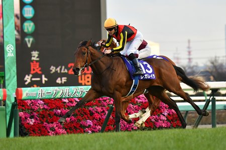 Regaleira wins the 2023 Hopeful Stakes at Nakayama Racecourse
