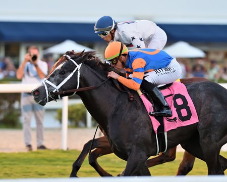Noted prevails to win the Pulpit Stakes at Gulfstream Park