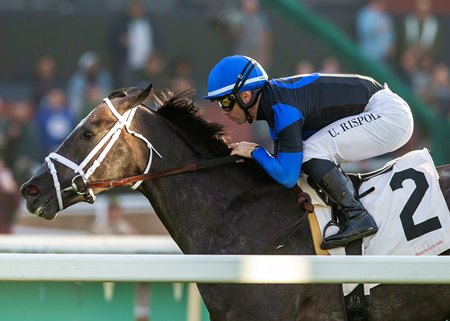 Lord Bullingdon wins the 2023 Eddie Logan Stakes at Santa Anita Park