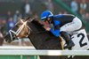 Lord Bullingdon and jockey Umberto Rispoli win the $100,000 Eddie Logan Stakes, Friday, December 29, 2023 at Santa Anita Park, Arcadia CA.
&#169; BENOIT PHOTO