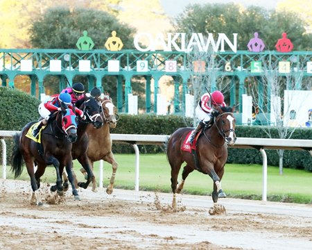 War Campaign wins the 2023 Tinsel Stakes at Oaklawn Park