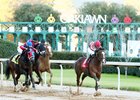 War Campaign wins the 2023 Tinsel Stakes at Oaklawn Park