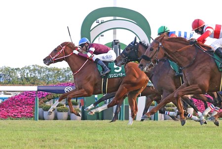 Shin Emperor, shown winning the 2023 Kyoto Nisai Stakes, is the latest hope for Japan in the Prix de l'Arc de Triomphe at ParisLongchamp