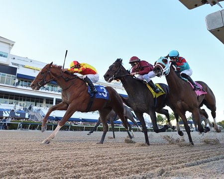 Otello (outside) edges First World War (middle) and Sea Streak to win the Mucho Macho Man Stakes at Gulfstream Park