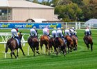 Going out of the straight first time at Caulfield Racecourse