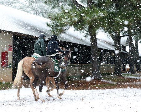 Snow at Oaklawn Park