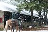 Scenics - Snow - Oaklawn Park - 010524