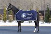 Equinox, 2023 IFHA World&#39;s Best Racehorse