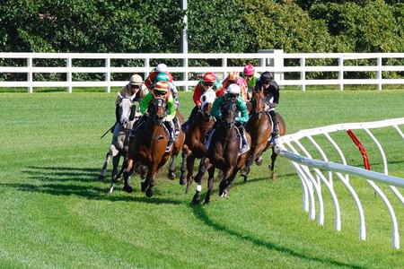 Racing at Caulfield Racecourse