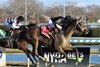 Gin Gin wins the 2024 Busanda Stakes at Aqueduct Racetrack