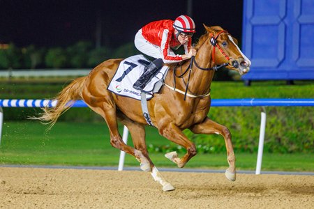 Manama Gold wins the Cocoa Beach Stakes at Meydan Racecourse