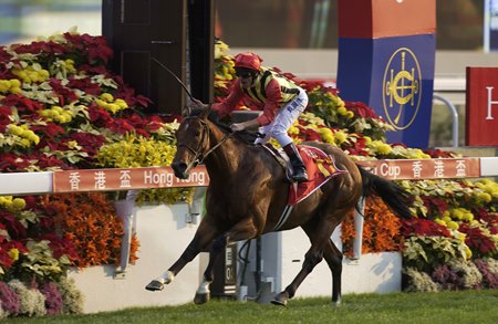 Falbrav wins the 2003 Hong Kong Cup at Sha Tin Racecourse