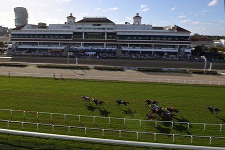 Racing in South Florida at Gulfstream Park