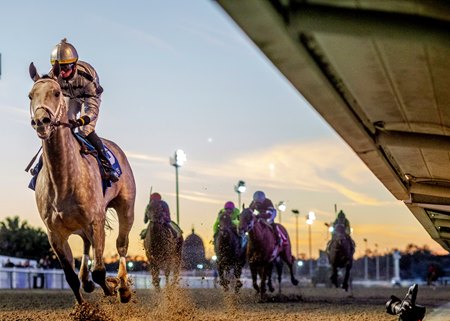 Saudi Crown leaves his competition behind while winning the Louisiana Stakes at Fair Grounds Race Course & Slots