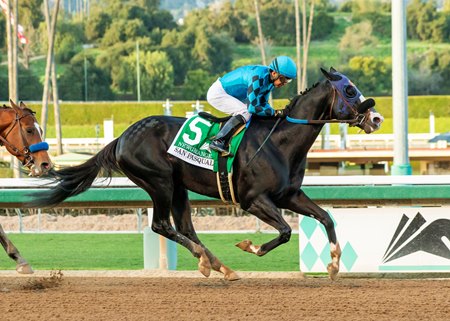 Newgrange wins the 2024 San Pasqual Stakes at Santa Anita Park