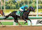 Newgrange and jockey Victor Espinoza win the Grade II, $200,000 San Pasqual Stakes, Saturday, January 27, 2024 at Santa Anita Park, Arcadia CA.
&#169; BENOIT PHOTO