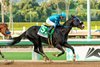 Newgrange wins the 2024 San Pasqual Stakes at Santa Anita Park