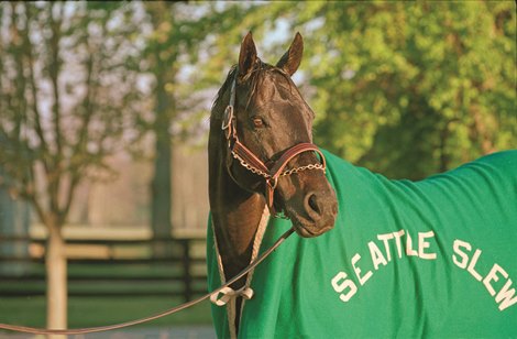 Seattle Slew Seattle Slew