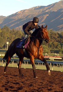 Falbrav at Santa Anita Park