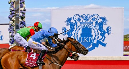 Beach Bomb wins the Paddock Stakes at Kenilworth Racecourse