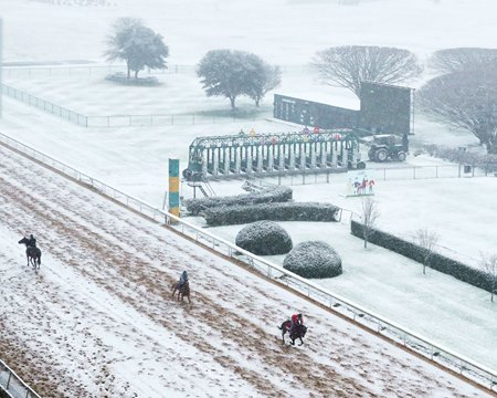 Snow during training at Oaklawn Park