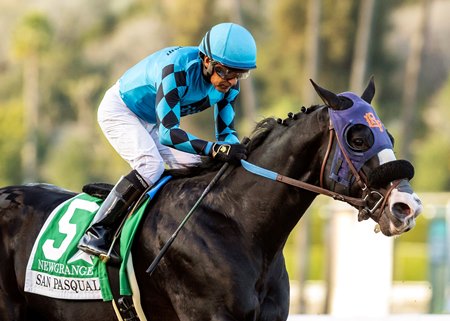 Newgrange wins the 2024 San Pasqual Stakes at Santa Anita Park