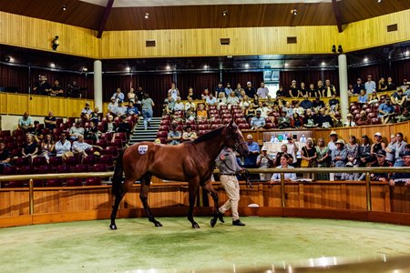 The 100th edition of New Zealand Bloodstock Karaka Yearling Sale will take place Jan. 25-29, 2026