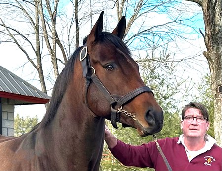 Dr. Padraig "Paddy" O'Casaigh and Early Voting at Taylor Made Stallions