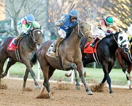 Race for 3-Year-Old Title Could Go Down to the Wire - BloodHorse