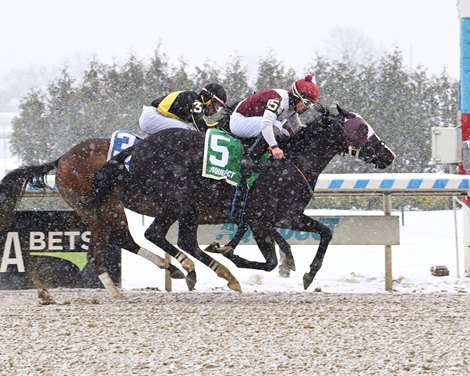 Aqueduct Releases 2026 Winter Stakes Schedule
