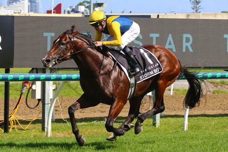 Storm Boy wins the Magic Millions 2-Year-Old Classic at Gold Coast