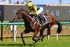 Storm Boy wins 2024 Magic Millions 2 Year Old Classic at Gold Coast
